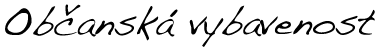 Občanská vybavenost